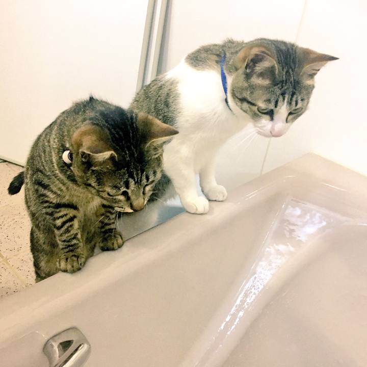 9f9cf476 1999 4f7c b06a 9b406d71ee29