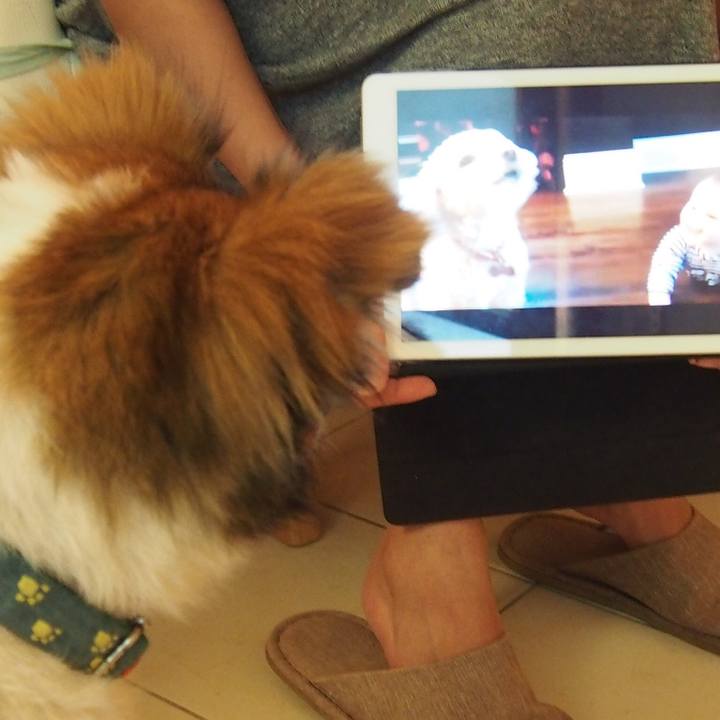 9f9d0a07 8279 45ef bf74 e2558fecf594