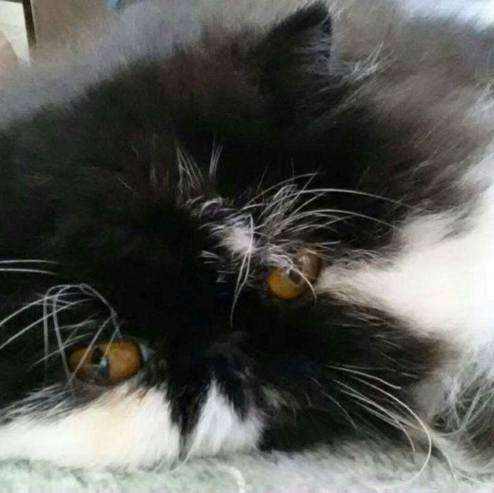 9f9e0038 1fc8 4714 af93 4ee2f2278e7a