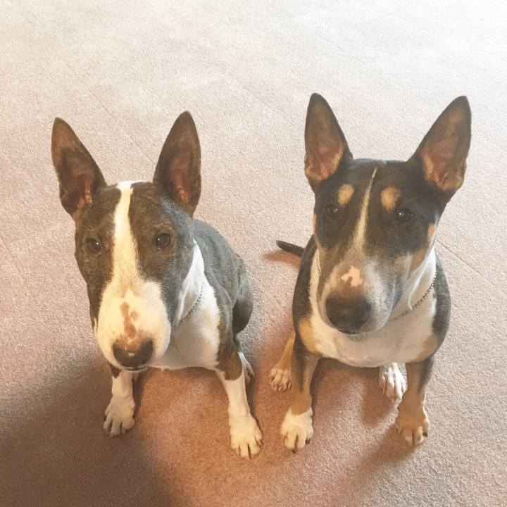 9f9e24fd 3a28 461d be41 b7d98e0f813d