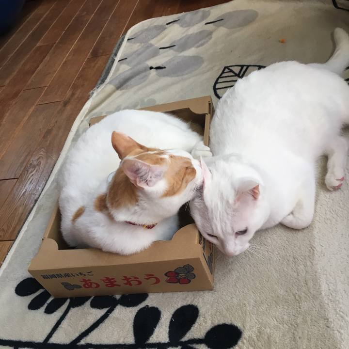 9f9ec695 0f96 4430 a5a7 82db8a9998a0