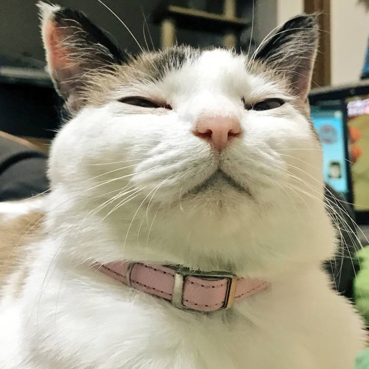 9fa00a63 84d0 48a9 b25c 6558f10cb12c