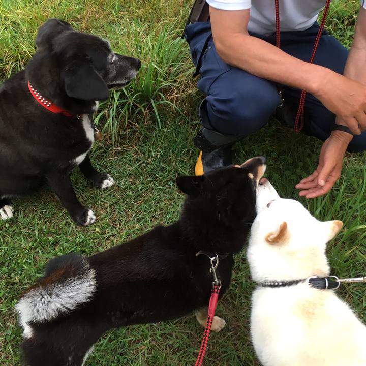 9fa00e03 8a3c 4b77 bcb4 1200b54e8cde