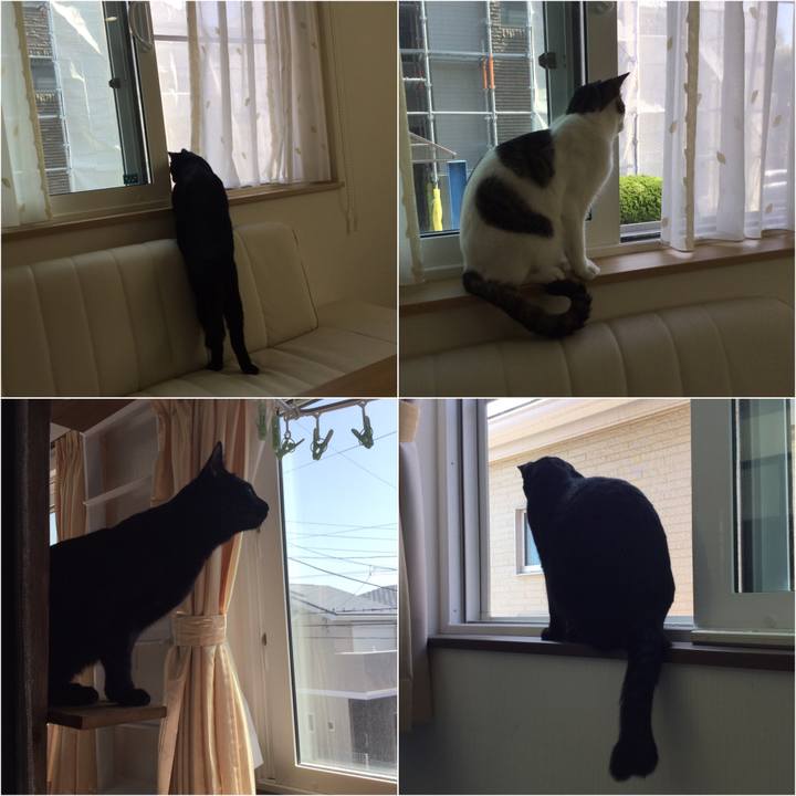 9fa06455 29c1 4eeb b978 aae1eb97e5a3