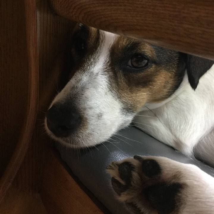 9fa0e09f d787 45af b420 b9ce54663b5f