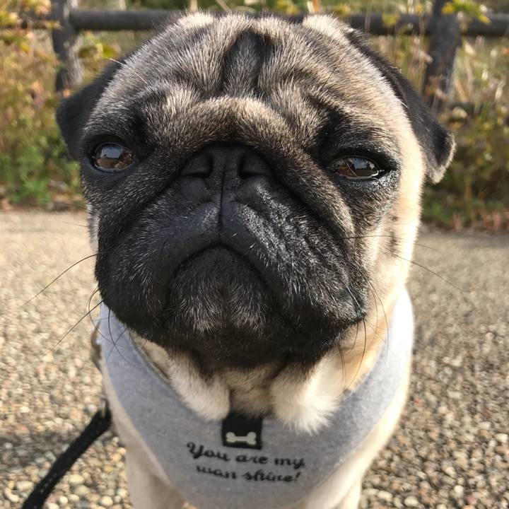 9fa15581 8d5b 4be1 8a96 d05440916747