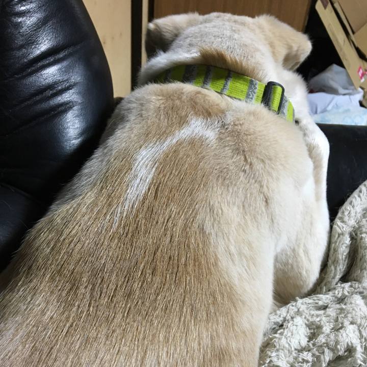 9fa18986 e59f 43d2 a5ee 486fe6ff4cf0