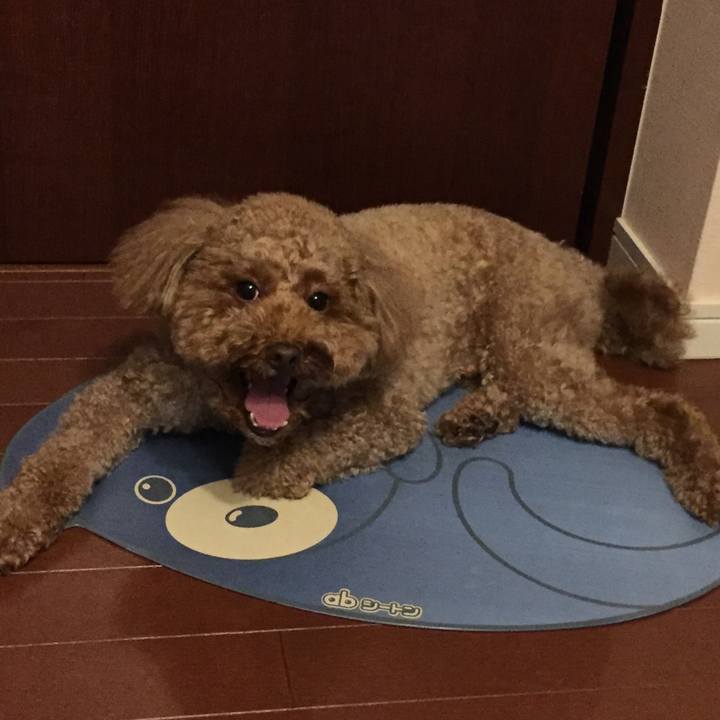 9fa213b5 876d 423f a8b5 1ff1531e023f