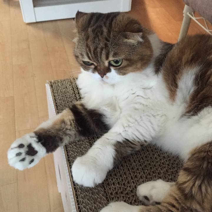 9fa22af8 db01 4fd0 8c3d 88c815c7b2d5