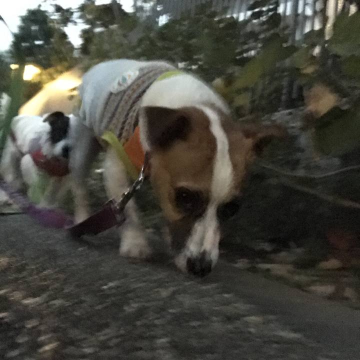 9fa2c0b8 d111 42fc abc8 64ee74b78e41