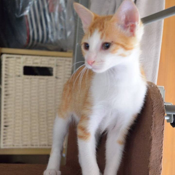 9fa2ce9c 9feb 4264 bee2 3073a1a99b01