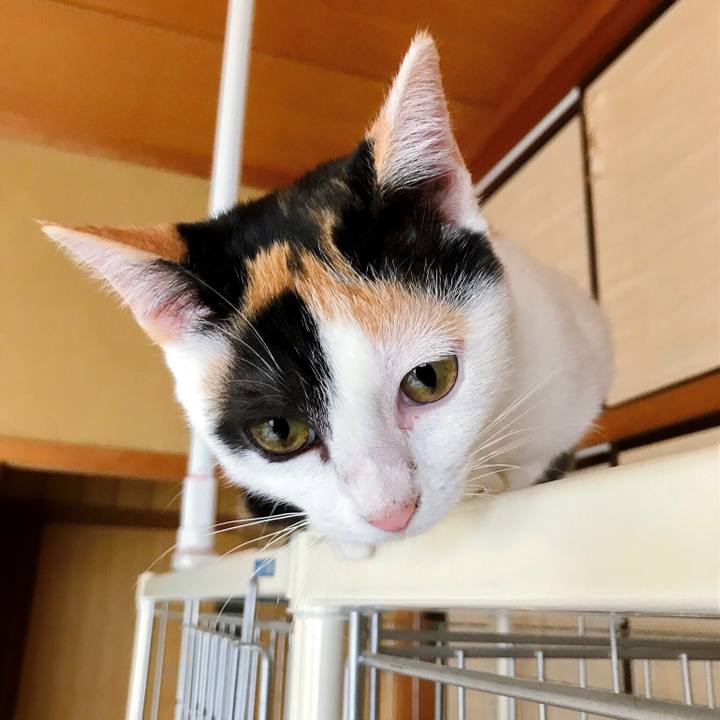 9fa31376 5227 426e a785 6869f8fe04c9