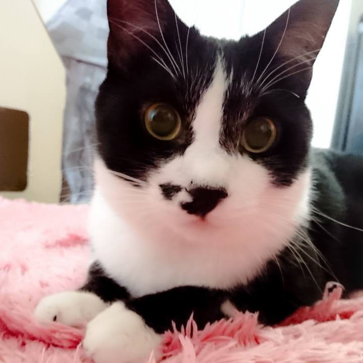 9fa374dc b4b9 48b2 9ed3 6f1ec00aa2e5