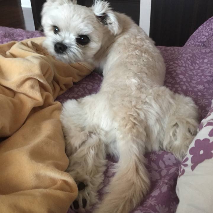 9fa3a228 2236 4e89 b9c0 bd0cd8b22bcb