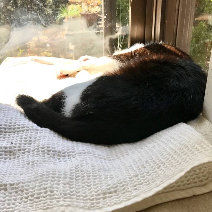 9fa3c5d8 6000 4cbb 8f3a fb3040c0002a