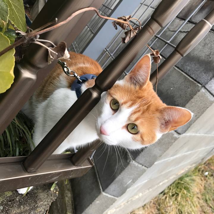 9fa460b3 e24e 41cc 9704 eb2b115200e9