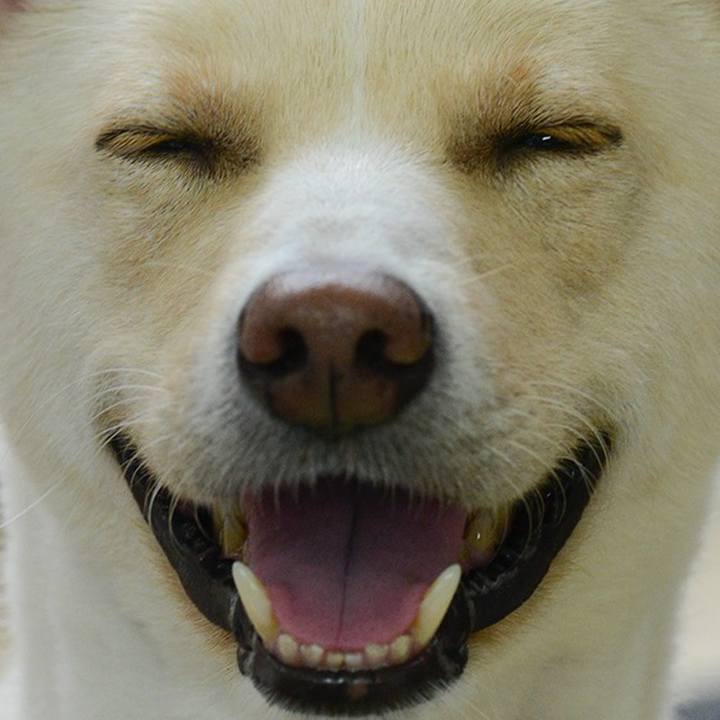 9fa47b17 3c7d 474b b57a bbd46f5c9fb2