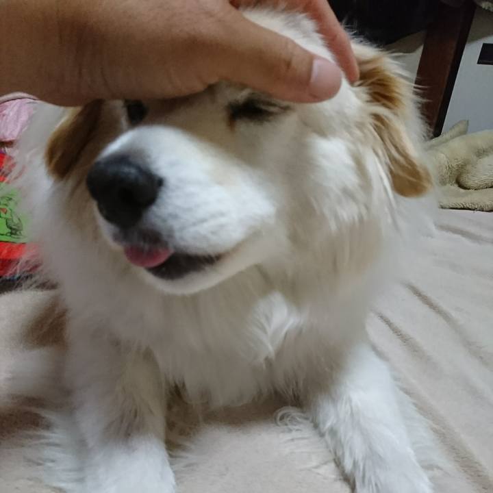 9fa4e013 de25 434e b4b5 b85f60bd0707