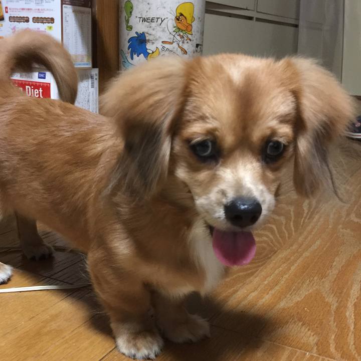 9fa4e3e6 449b 4b38 a931 01eec55fdf4a