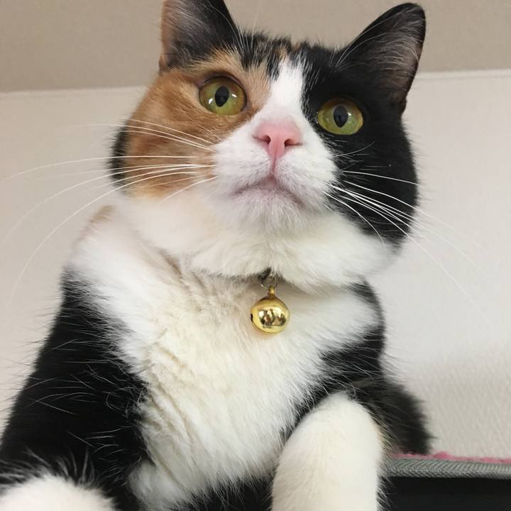 9fa4e6cd 6698 4e0e 9479 1c845695a2a2