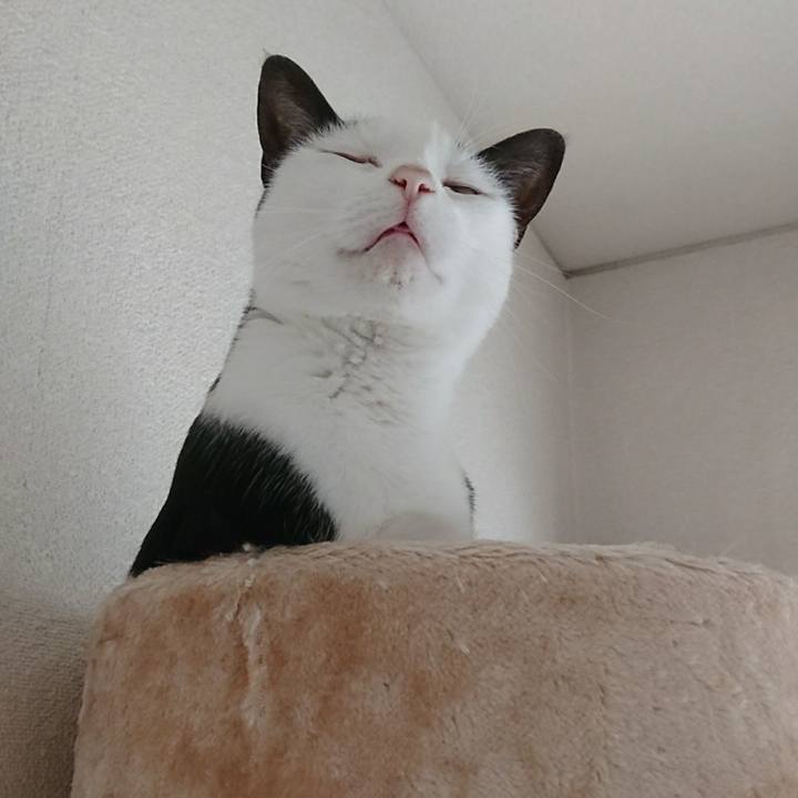 9fa53b78 0822 443a bb57 38f289d6003c