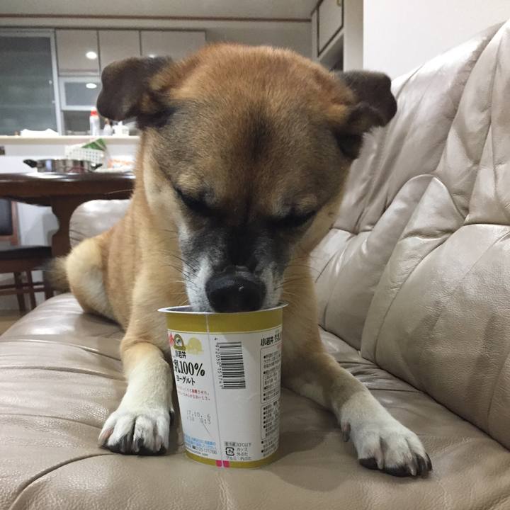 9fa548d6 50d6 449d 90c6 8e40dad9fffa