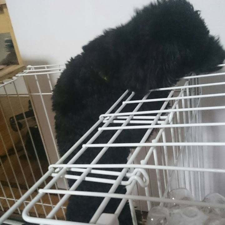 9fa5a9ae da96 4be2 90f6 937324a1e3b9