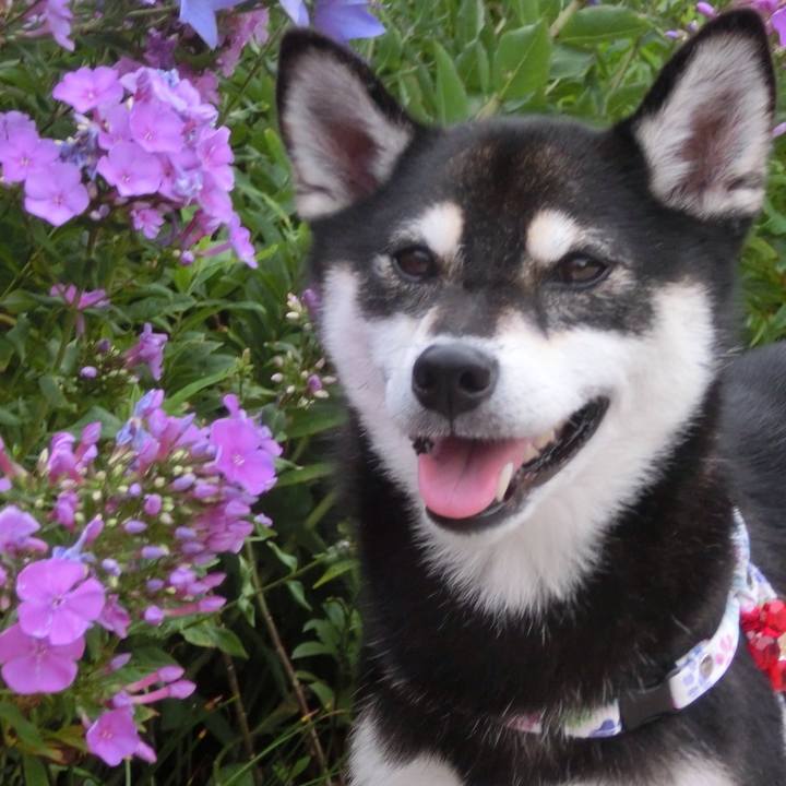 9fa5e2c0 d95c 4854 96be 8eab5abe3571