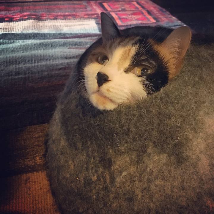 9fa61965 3e70 45c9 8fd0 676292f143e4