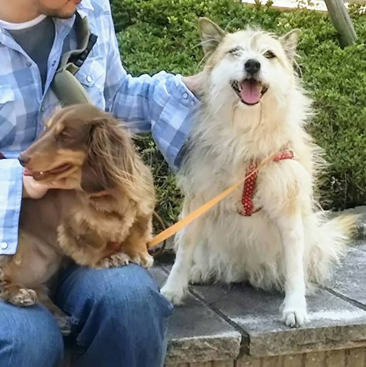 9fa6b987 1c86 4c9d 9dee 3ca19ea41d16