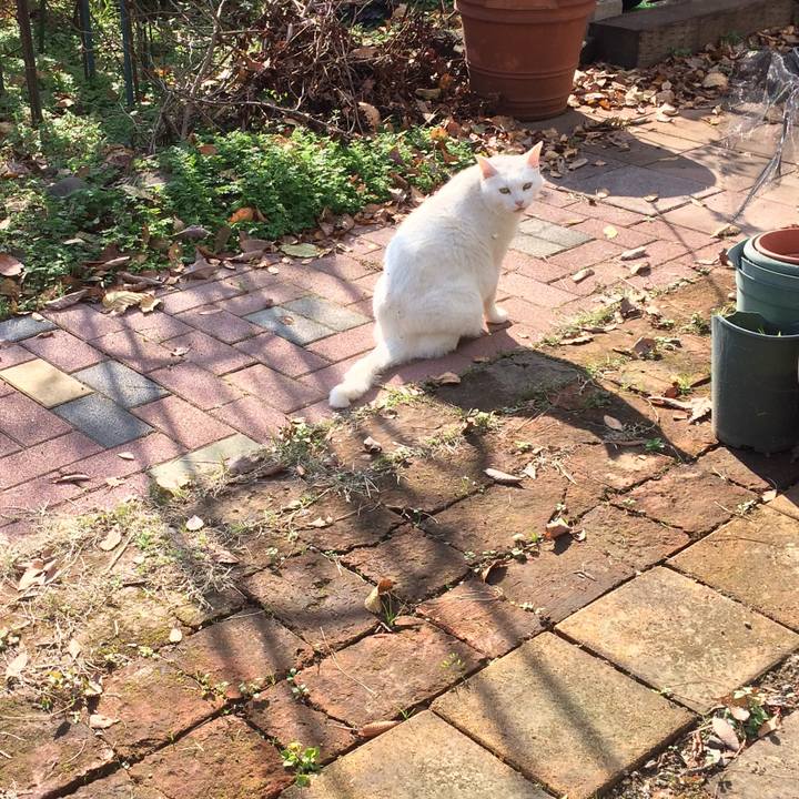 9fa6e40a 582b 4042 bbcb 844440ee260e