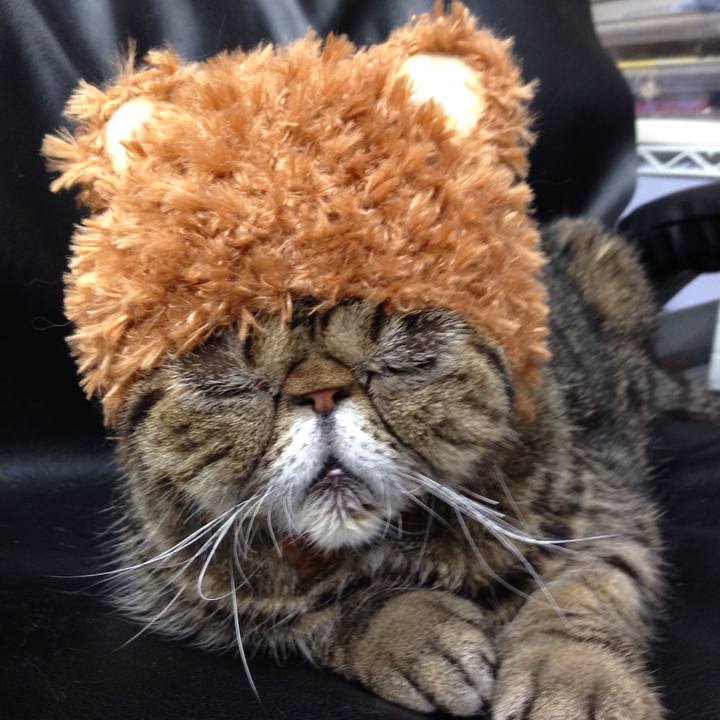 9fa6f2d7 9feb 4252 857a 0ec4dea5a671