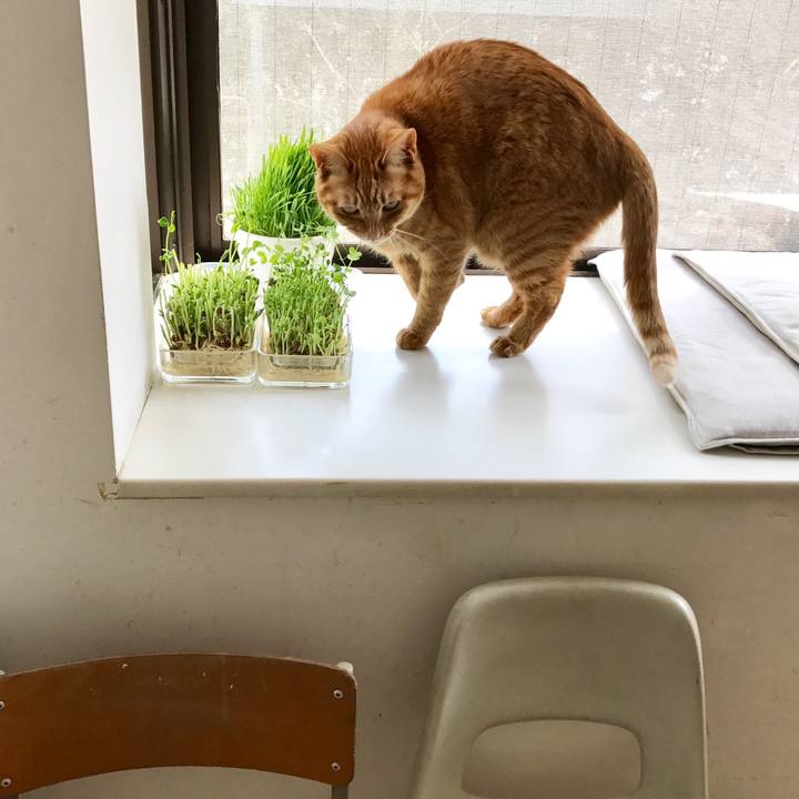 9fa75acd 5b44 45dc 810a 1155f0dc6cef