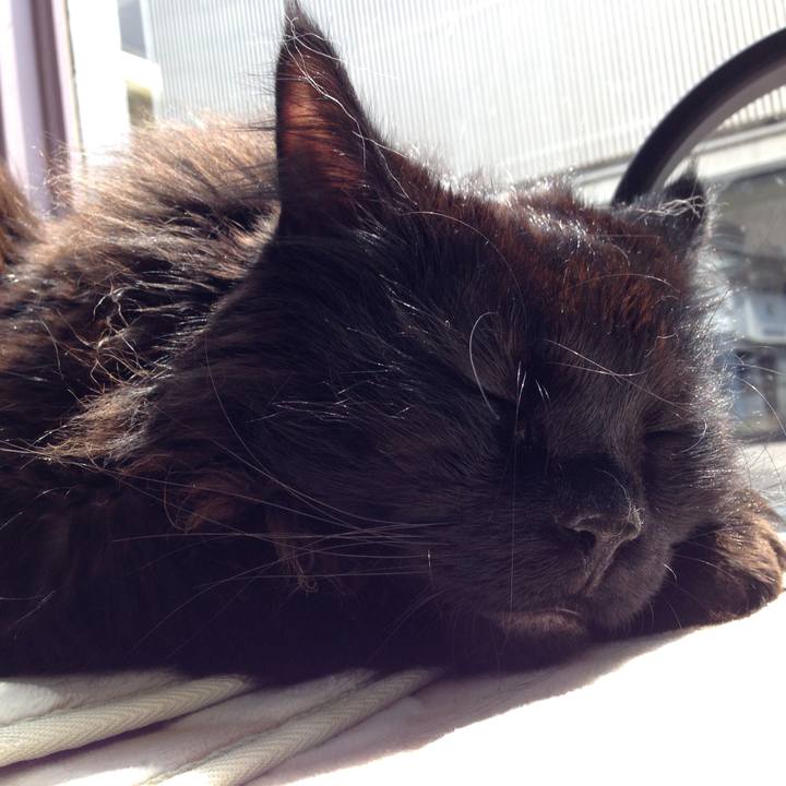 9fa7a8f0 45a2 496c b2d7 327ea4dd304f