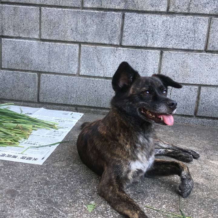 9fa7e993 ff0e 4bda 82a0 a283ea539bc7