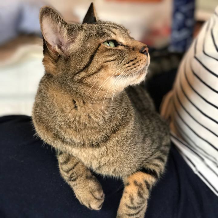 9fa80866 ecbf 40bb 81a8 79d9dbc0dc9a