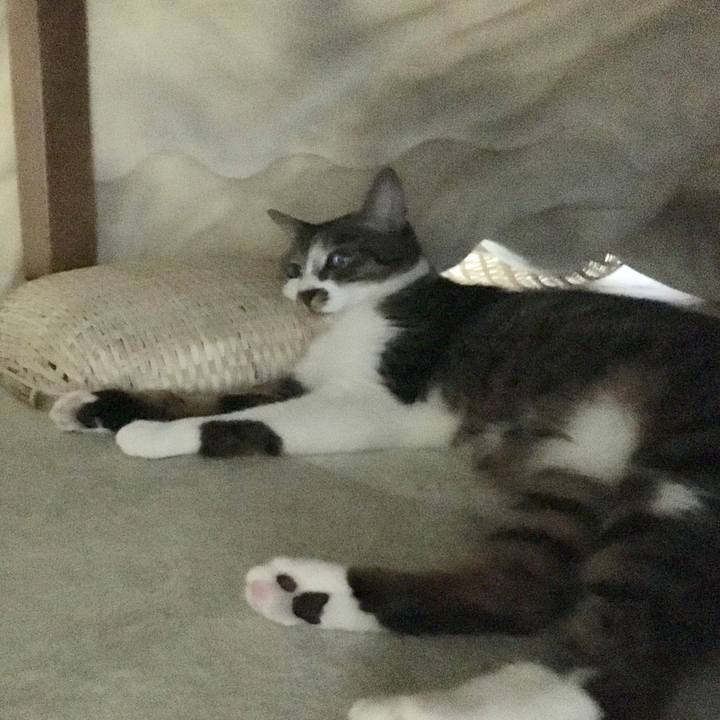 9fa879b5 e5d6 4807 a98f f257924e475e