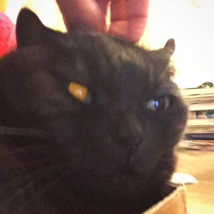 9fa8b561 21dc 40ed a117 a7c16d636684