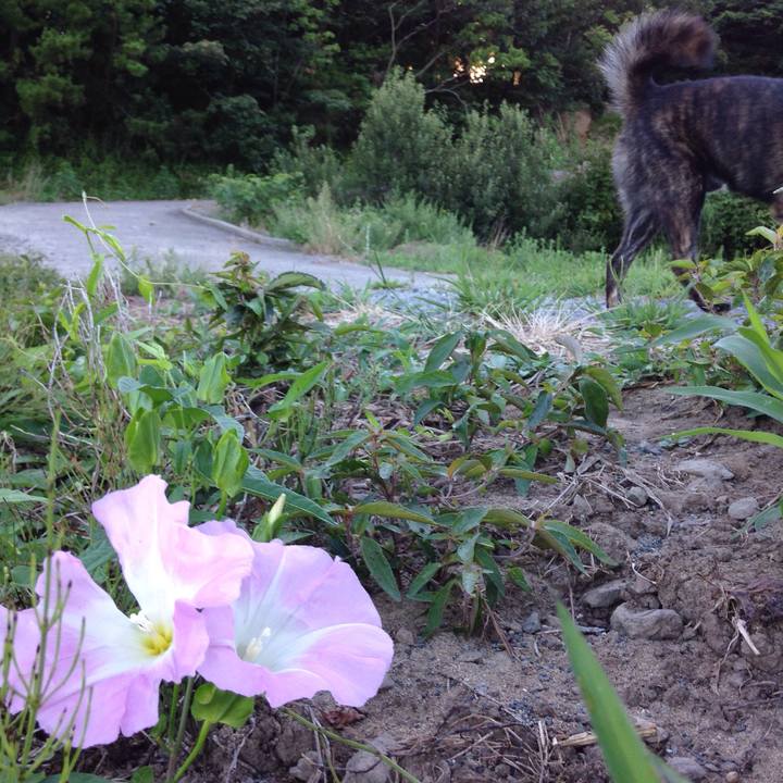 9fa94572 da64 4fd0 bea3 3d05e48192a3