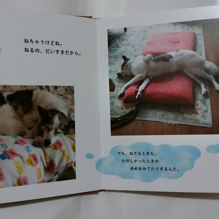 9fa9a301 b642 4ec5 a06e 4e31cb7cd525