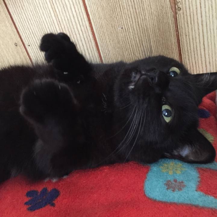 9fab15e3 73ac 4705 820e 89d8cdc46b11