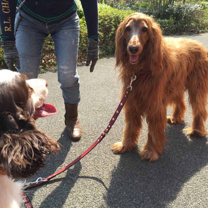 9fab4e68 0835 43ff 9dd2 19b6b1c0b457