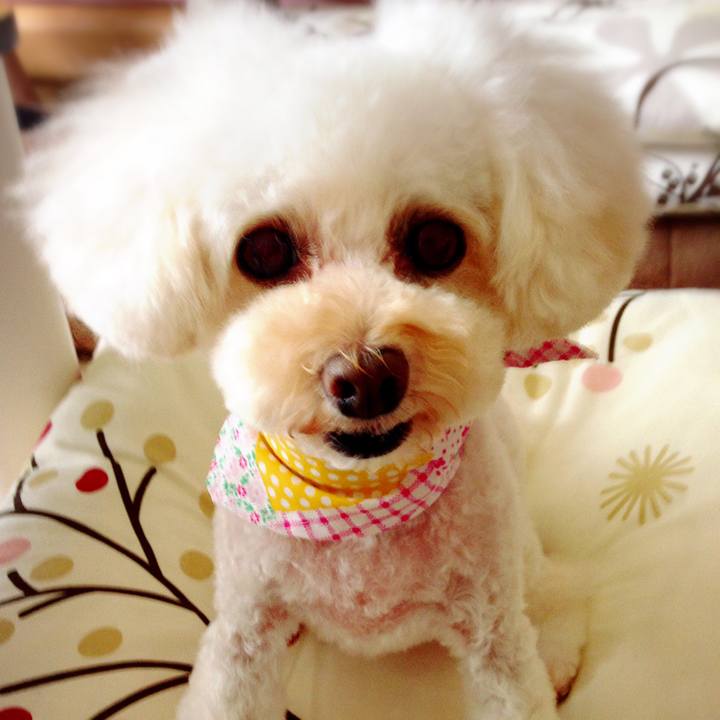 9fab82bb b2f8 4715 b6a5 996a45368fb6