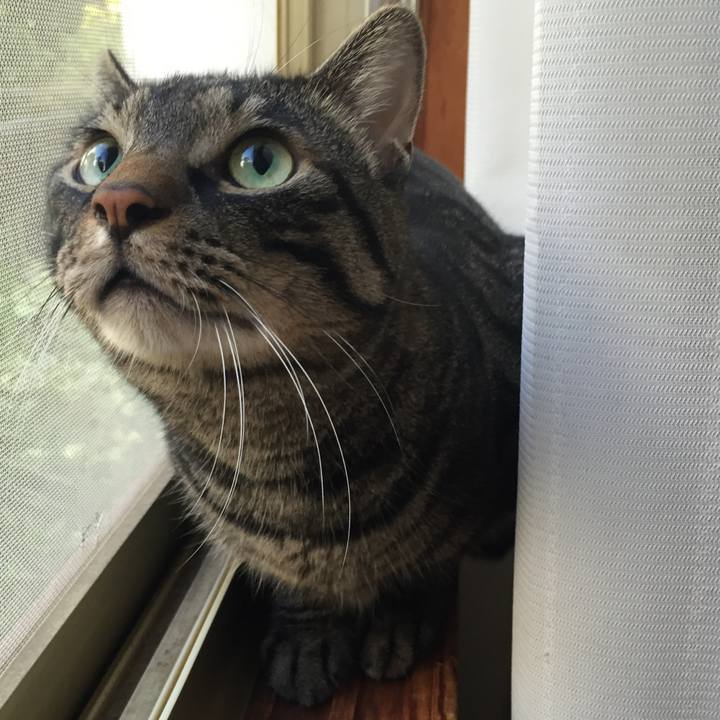 9faba35a 724f 4ae2 a2db 1b9cbf50b813