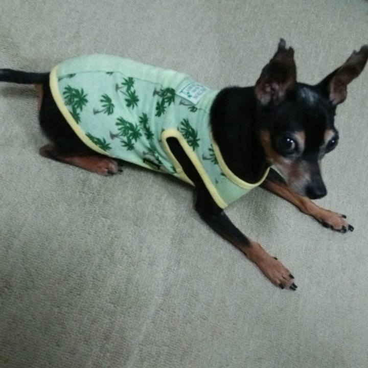 9facad2e c19a 49f9 b821 999a625191bb