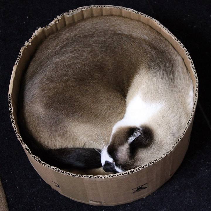 9facc55e f3b9 4ef6 a8bb da0ab758e577