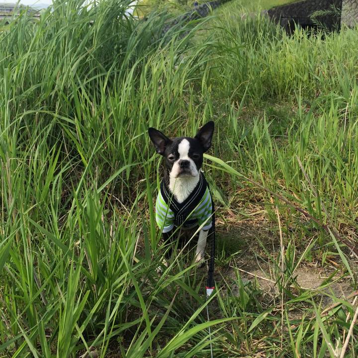 9fad0308 57d0 4699 a201 1013db56fd4a