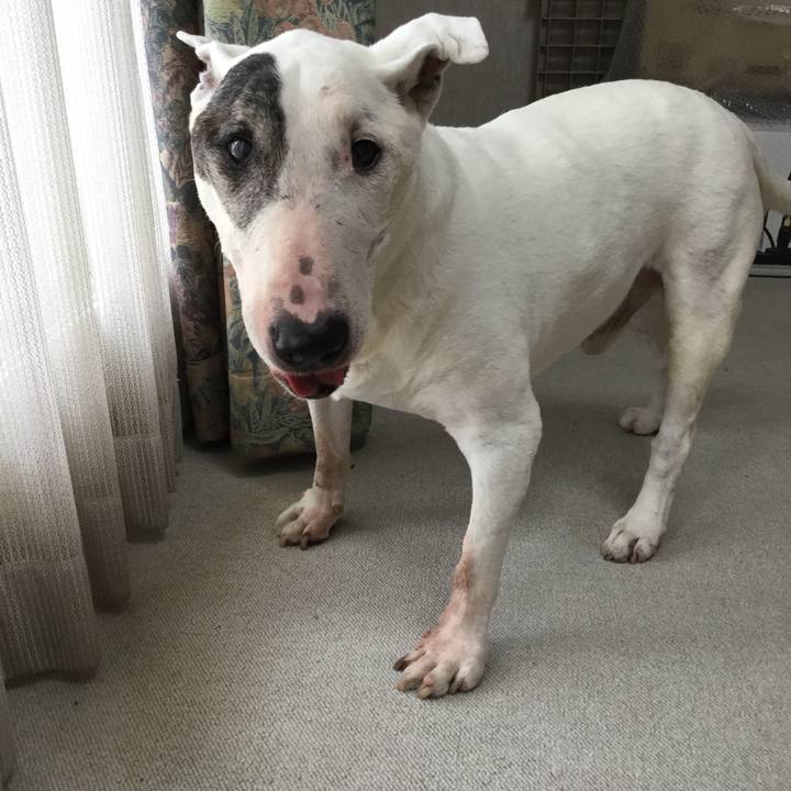 9fadf115 e115 455f 9a1e d6c4296098aa