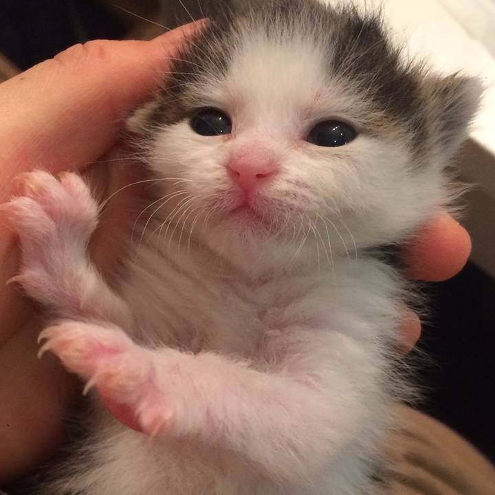 9fae0b83 4e5f 43aa 985e 4cd4d948ee3b