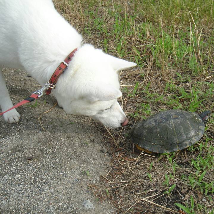 9fae14da 893d 4811 aa2c 734c51bf323e